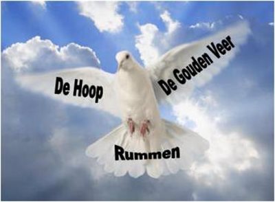 De Hoop Rummen